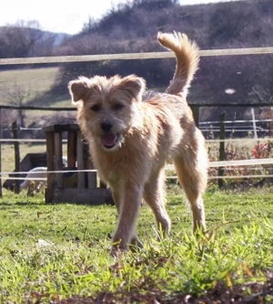 Hallo, ich bin Lizzy!