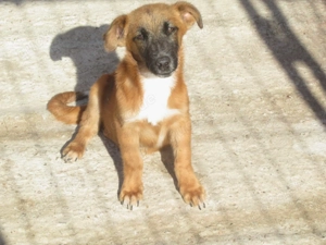 Emoji im Wachstum - Der kleine Wildfang!