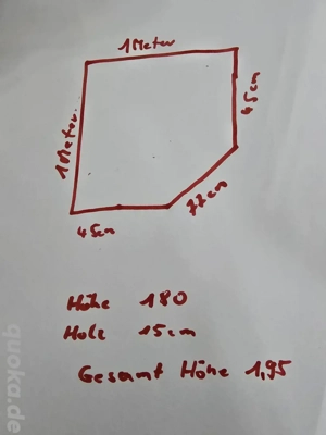 Tausch oder Verkauf Trioceros jacksonii xantholophus  Pärchen 1.1 mit Großem Terra Bild 6
