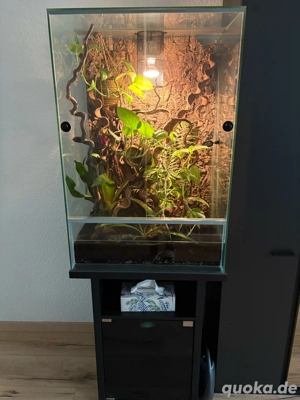 Komplettset Terrarium 90x45x45cm inkl. Unterschrank Technik Zubehör