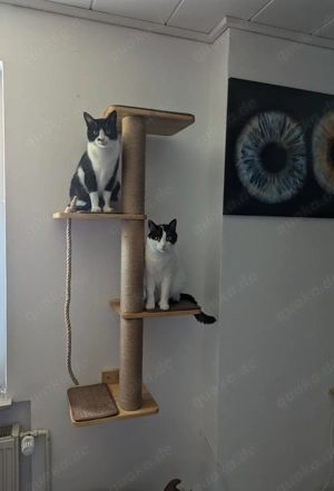 Max & Moritz suchen ein neues Zuhause 