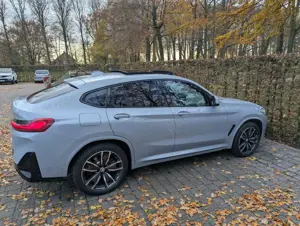 BMW X4 xDrive20d Aut.-Brooklyn Grau,Leder Mokka,360 Grad