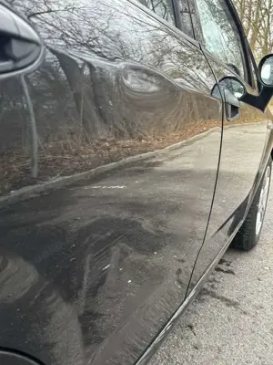 Fiat Punto Evo Bild 5