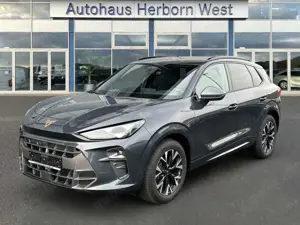 CUPRA Terramar 1.5 eTSI DSG LED Head Up Allwetterreifen