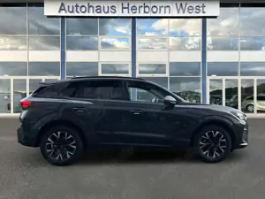 CUPRA Terramar 1.5 eTSI DSG LED RFK Head Up Allwetterreifen Bild 5
