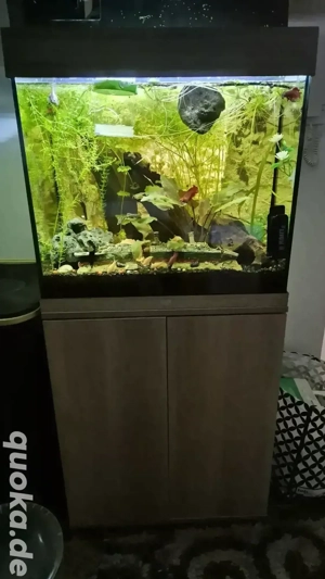 komplettes Aqarium Juwel 