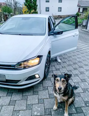 Volkswagen Polo IQ.DRIVE