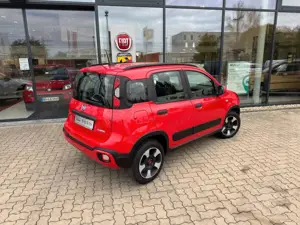 Fiat Panda 1.0 Hybrid CityCross (RED) Sondermodell Bild 3