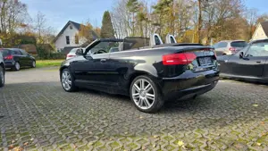 Audi A3 Cabriolet Nav Bluet. Connect Klimatr. Sitzh Bild 2