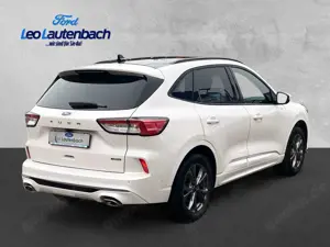 Ford Kuga Plug-In Hybrid ST-Line X Bild 5