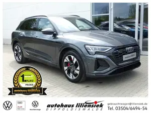 Audi Q8 55 e-tron quattro 300KW S line *LED*ACC*PDC*