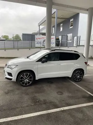 CUPRA Ateca Bild 5
