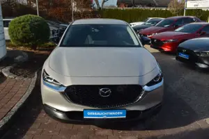 Mazda CX-30 HOMURA NAVI LED ACC HUD KAMERA PDC Bild 3