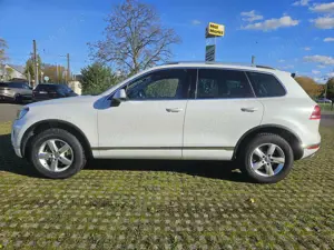 Volkswagen Touareg 3.0 V6 TDI SCR Blue Motion DPF Automatik Bild 3