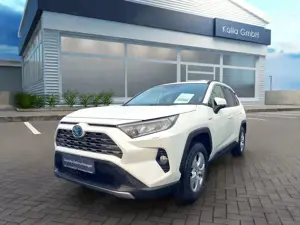 Toyota RAV 4 Hybrid 4x4 Team Deutschland *1.HAND, GARANTIE, LED