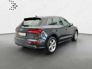 Audi Q5 40 TDI qu Design S tro*Pano*Standh*LED*Navi+* Bild 2