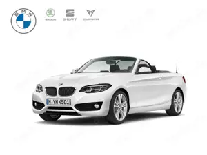 BMW 220 i Cabrio Aut. SHZG+LKRDHZG+NAVI+DAB+LED+TEMPOMAT+K