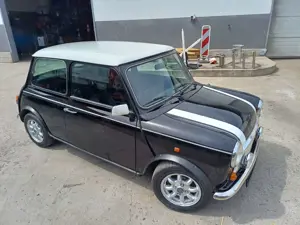 MINI 1300