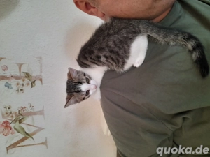 murphy 16 eochen jung 