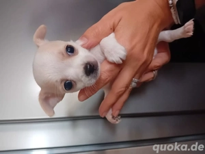 ab sofort darf ich ausziehen 