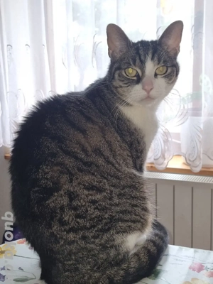 Perla sucht ein Für immer Zu Hause 