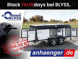 AKTION Hundeanhänger Dog4Go Anhänger 305x128x77cm 