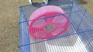 Kleintierkäfig für Mäuse, Hamster usw. mit Laufrad. Maße 68 x 37 x 34 jeweils cm Bild 2