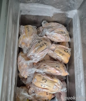 Weihnachtsbraten, Enten Freilandhaltung