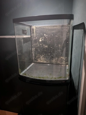 SERA Marin Biotop 130L Aquarium inkl. viel Zubehör Bild 4