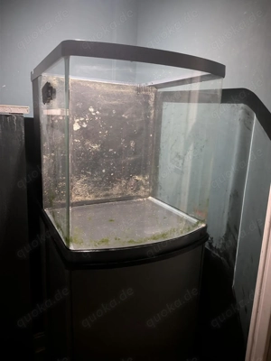 SERA Marin Biotop 130L Aquarium inkl. viel Zubehör