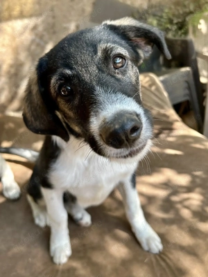 Laila bezaubert alle mit ihrem Charme