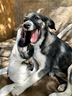 Laila bezaubert alle mit ihrem Charme Bild 5