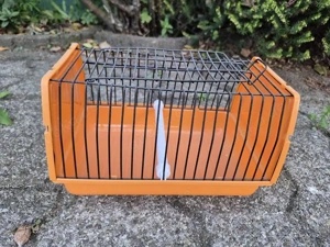 Transportkäfig, Vögel