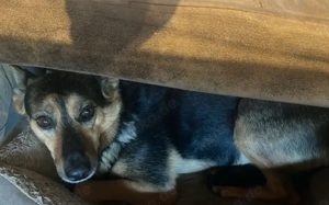 Schenkst du Eva dein Herz? Bild 2