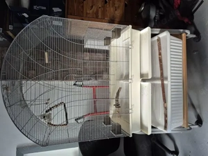 Große Zimmer Voliere, Vögel