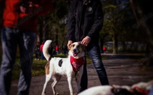 Kuschelbär Quinny sucht seine Familie Bild 2