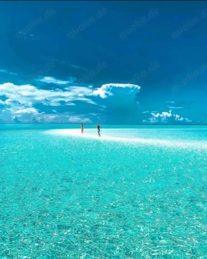 Putzfrau gesucht in Lampertheim 