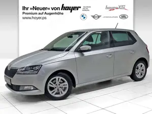 Skoda Fabia 1.0 TSI DSG Style Klima LM PDC DAB RFK
