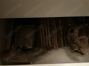 Terrarium + komplett Zubehör VB Bild 8