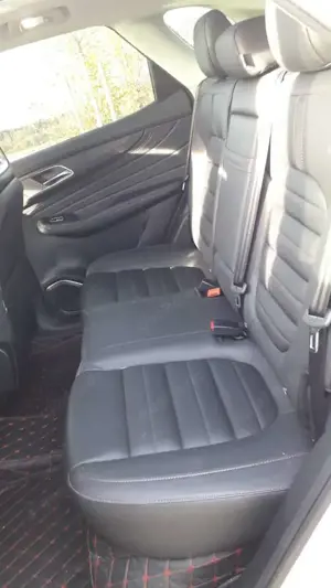 MG HS HS 1.5T-GDI Aut. Luxury Bild 3