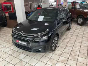 Citroen C4 Cactus Shine