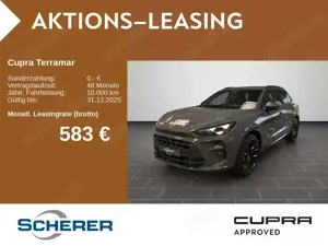 CUPRA Terramar VZ 2.0 TSI DSG 360-Grad Kamera Head-up-