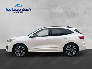 Ford Kuga Plug-In Hybrid ST-Line X Bild 2