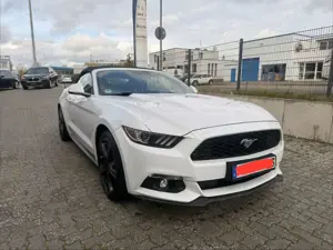 Ford Mustang Basis Convertible