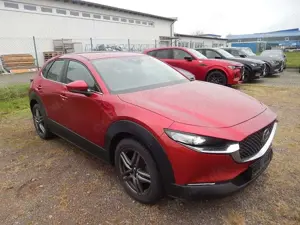 Mazda CX-30 Bild 2
