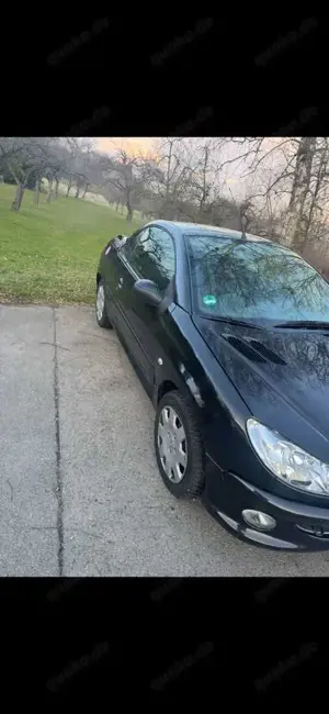 Peugeot 206 Bild 2