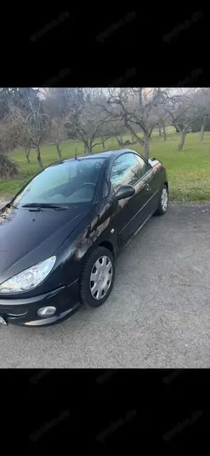 Peugeot 206 Bild 3