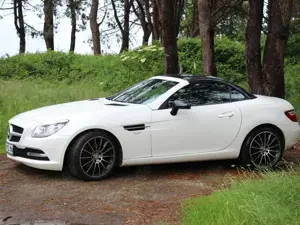 Mercedes-Benz SLK 250 SLK 250 CDI (BlueEFFICIENCY) 7G-TRONIC