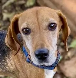 LINA auf Körbchensuche