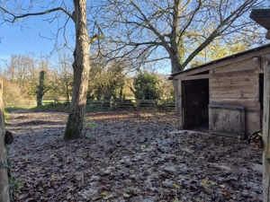 Offenstall für 2 Wallache frei.